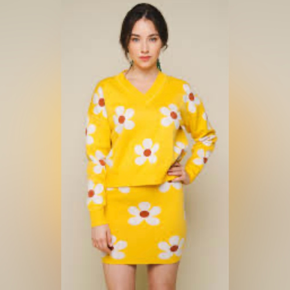🌹NWT SWEATER LAND V-Neck Daisy Sweater Mini Skirt Set, Size S/M